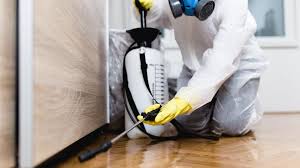 Real Estate Pest Inspections in Paulding, OH